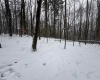 TBD Abiguchee Lane, Richwood, West Virginia 26261, ,Lots/land,For Sale,Abiguchee,10162915