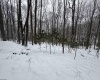 TBD Abiguchee Lane, Richwood, West Virginia 26261, ,Lots/land,For Sale,Abiguchee,10162915