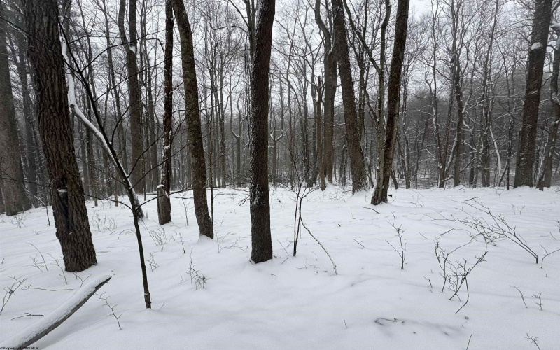 TBD Abiguchee Lane, Richwood, West Virginia 26261, ,Lots/land,For Sale,Abiguchee,10162915