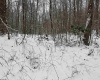 TBD Abiguchee Lane, Richwood, West Virginia 26261, ,Lots/land,For Sale,Abiguchee,10162915