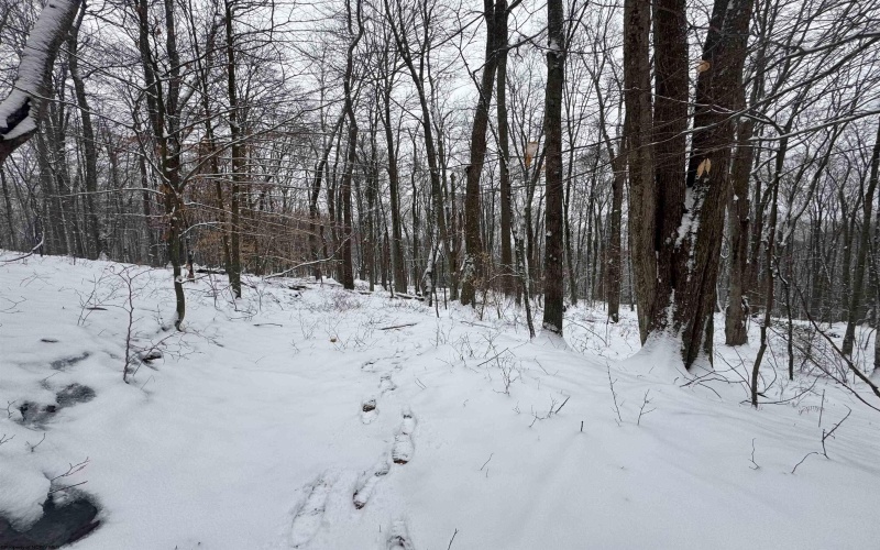 TBD Abiguchee Lane, Richwood, West Virginia 26261, ,Lots/land,For Sale,Abiguchee,10162915