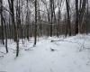 TBD Abiguchee Lane, Richwood, West Virginia 26261, ,Lots/land,For Sale,Abiguchee,10162915