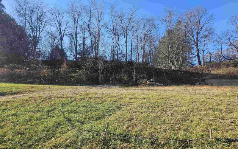 Lots 11 & 12 Hall Valley Court, Bridgeport, West Virginia 26330, ,Lots/land,For Sale,Hall Valley,10162933
