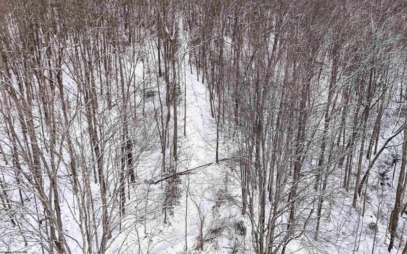 204 Murphy Creek Road, Weston, West Virginia 26452, 3 Bedrooms Bedrooms, 5 Rooms Rooms,2 BathroomsBathrooms,Single Family Detached,For Sale,Murphy Creek,10162926