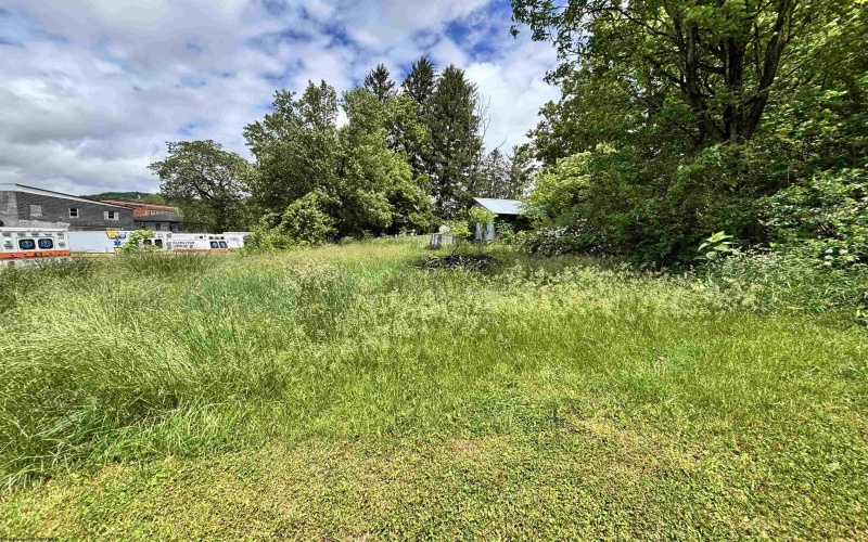 TBD WALNUT Street, Belington, West Virginia 26250, ,Lots/land,For Sale,WALNUT,10159846 TBD WALNUT Street, Belington, West Virginia 26250, ,Lots/land,For Sale,WALNUT,10159846