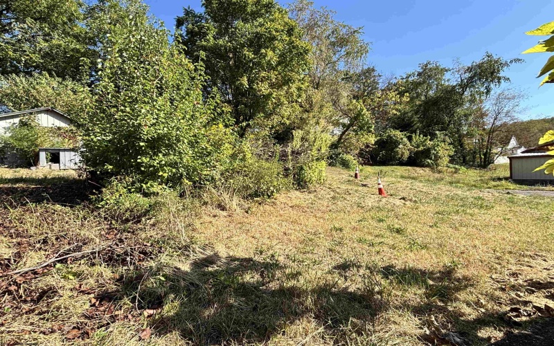 TBD WALNUT Street, Belington, West Virginia 26250, ,Lots/land,For Sale,WALNUT,10159846 TBD WALNUT Street, Belington, West Virginia 26250, ,Lots/land,For Sale,WALNUT,10159846