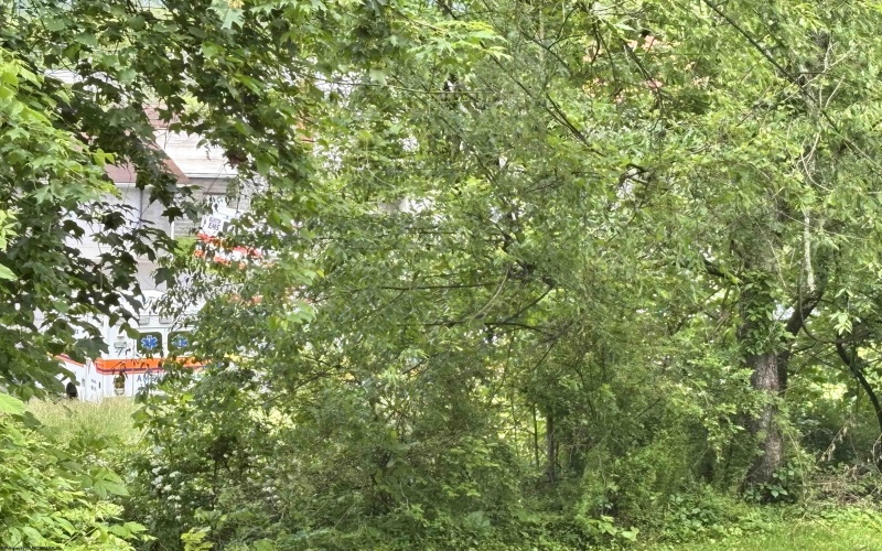 TBD WALNUT Street, Belington, West Virginia 26250, ,Lots/land,For Sale,WALNUT,10159846 TBD WALNUT Street, Belington, West Virginia 26250, ,Lots/land,For Sale,WALNUT,10159846