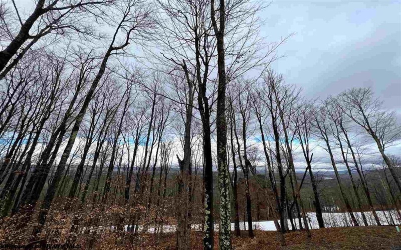 Lot 83 Hillside Drive, Davis, West Virginia 26260, ,Lots/land,For Sale,Hillside,10162940 Lot 83 Hillside Drive, Davis, West Virginia 26260, ,Lots/land,For Sale,Hillside,10162940