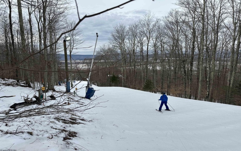 Lot 83 Hillside Drive, Davis, West Virginia 26260, ,Lots/land,For Sale,Hillside,10162940 Lot 83 Hillside Drive, Davis, West Virginia 26260, ,Lots/land,For Sale,Hillside,10162940