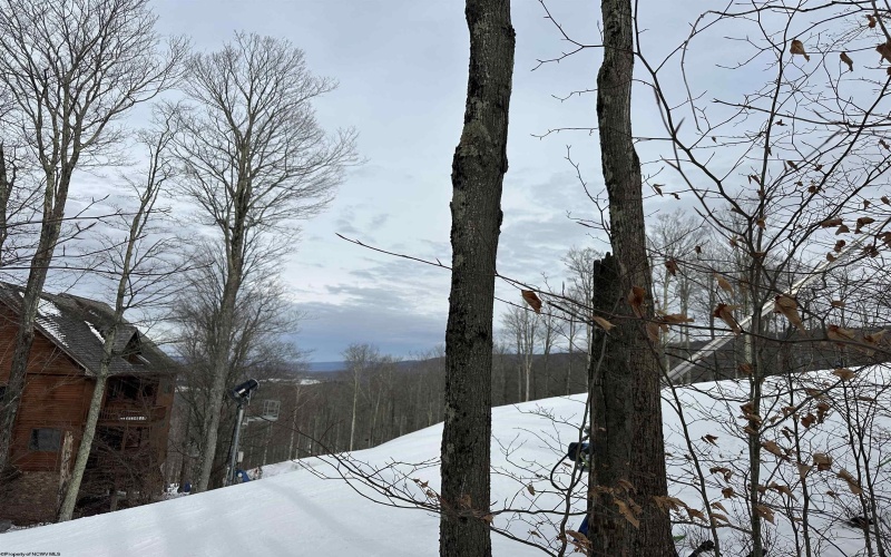 Lot 83 Hillside Drive, Davis, West Virginia 26260, ,Lots/land,For Sale,Hillside,10162940 Lot 83 Hillside Drive, Davis, West Virginia 26260, ,Lots/land,For Sale,Hillside,10162940