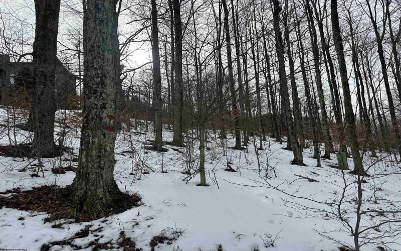 Lot 83 Hillside Drive, Davis, West Virginia 26260, ,Lots/land,For Sale,Hillside,10162940 Lot 83 Hillside Drive, Davis, West Virginia 26260, ,Lots/land,For Sale,Hillside,10162940