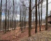 Lot 83 Hillside Drive, Davis, West Virginia 26260, ,Lots/land,For Sale,Hillside,10162940 Lot 83 Hillside Drive, Davis, West Virginia 26260, ,Lots/land,For Sale,Hillside,10162940