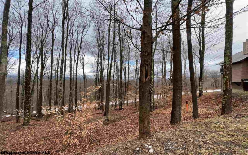 Lot 83 Hillside Drive, Davis, West Virginia 26260, ,Lots/land,For Sale,Hillside,10162940 Lot 83 Hillside Drive, Davis, West Virginia 26260, ,Lots/land,For Sale,Hillside,10162940