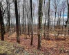 Lot 83 Hillside Drive, Davis, West Virginia 26260, ,Lots/land,For Sale,Hillside,10162940 Lot 83 Hillside Drive, Davis, West Virginia 26260, ,Lots/land,For Sale,Hillside,10162940