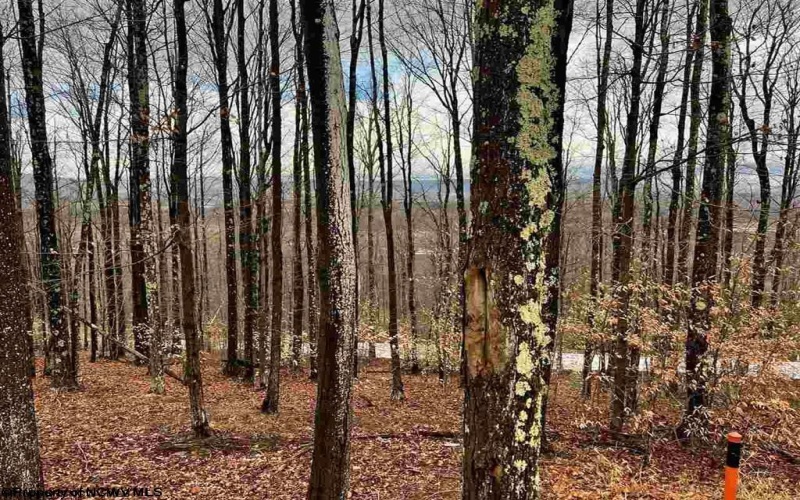 Lot 83 Hillside Drive, Davis, West Virginia 26260, ,Lots/land,For Sale,Hillside,10162940 Lot 83 Hillside Drive, Davis, West Virginia 26260, ,Lots/land,For Sale,Hillside,10162940