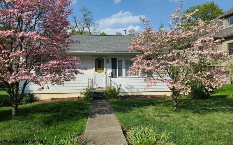 1208 Cambridge Avenue, Morgantown, West Virginia 26505, 3 Bedrooms Bedrooms, 7 Rooms Rooms,2 BathroomsBathrooms,Residential Rentals,For Rent,Cambridge,10159913
