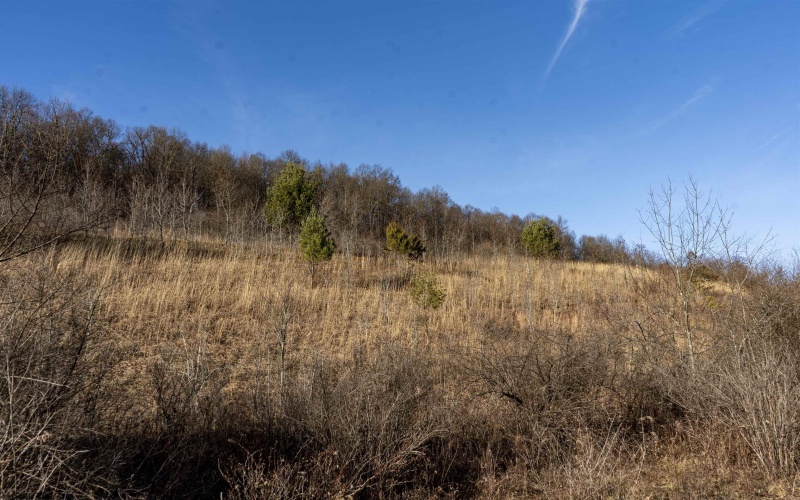 Lot 1 Frost Run, Moatsville, West Virginia 26405, ,Lots/land,For Sale,Frost,10162975