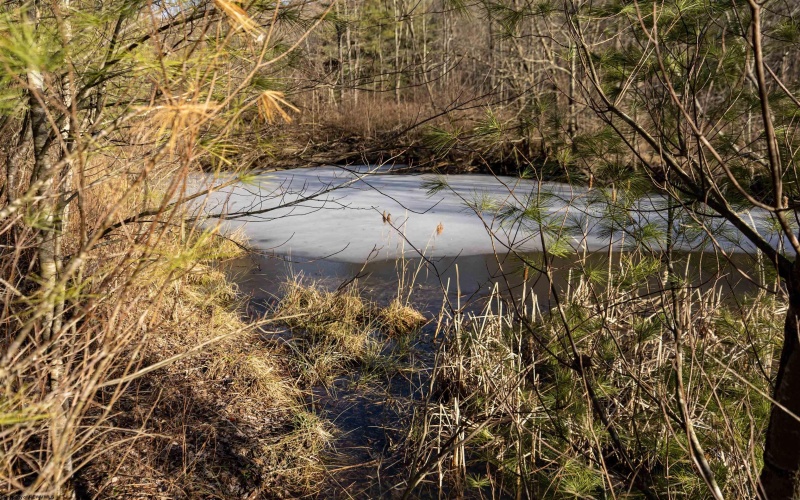 Lot 1 Frost Run, Moatsville, West Virginia 26405, ,Lots/land,For Sale,Frost,10162975