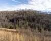 Lot 1 Frost Run, Moatsville, West Virginia 26405, ,Lots/land,For Sale,Frost,10162975