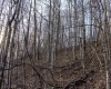 Lot 1 Frost Run, Moatsville, West Virginia 26405, ,Lots/land,For Sale,Frost,10162975