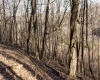 Lot 1 Frost Run, Moatsville, West Virginia 26405, ,Lots/land,For Sale,Frost,10162975