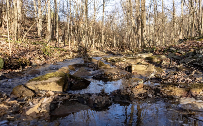 Lot 1 Frost Run, Moatsville, West Virginia 26405, ,Lots/land,For Sale,Frost,10162975