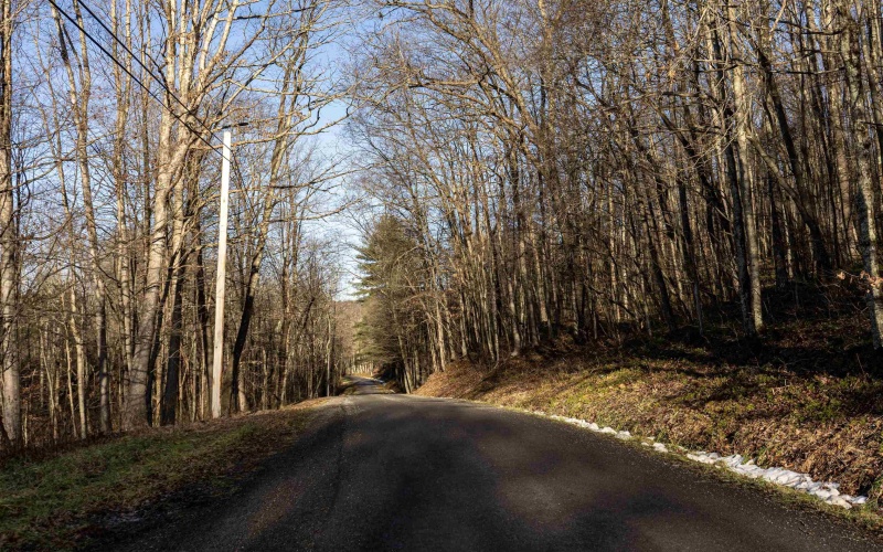 Lot 1 Frost Run, Moatsville, West Virginia 26405, ,Lots/land,For Sale,Frost,10162975