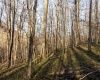 Lot 1 Frost Run, Moatsville, West Virginia 26405, ,Lots/land,For Sale,Frost,10162975