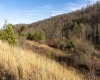 Lot 1 Frost Run, Moatsville, West Virginia 26405, ,Lots/land,For Sale,Frost,10162975