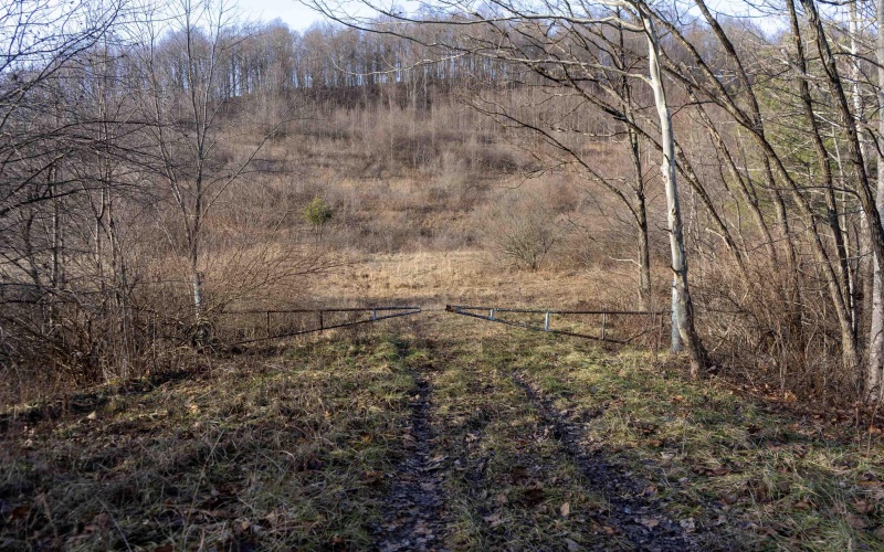 Lot 1 Frost Run, Moatsville, West Virginia 26405, ,Lots/land,For Sale,Frost,10162975