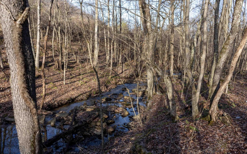 Lot 1 Frost Run, Moatsville, West Virginia 26405, ,Lots/land,For Sale,Frost,10162975