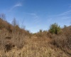 Lot 1 Frost Run, Moatsville, West Virginia 26405, ,Lots/land,For Sale,Frost,10162975