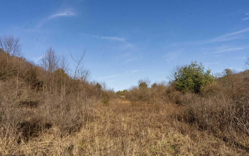 Lot 1 Frost Run, Moatsville, West Virginia 26405, ,Lots/land,For Sale,Frost,10162975