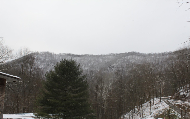 770 Elk River Road, Webster Springs, West Virginia 26288, 3 Bedrooms Bedrooms, 8 Rooms Rooms,1 BathroomBathrooms,Single Family Detached,For Sale,Elk River,10162976