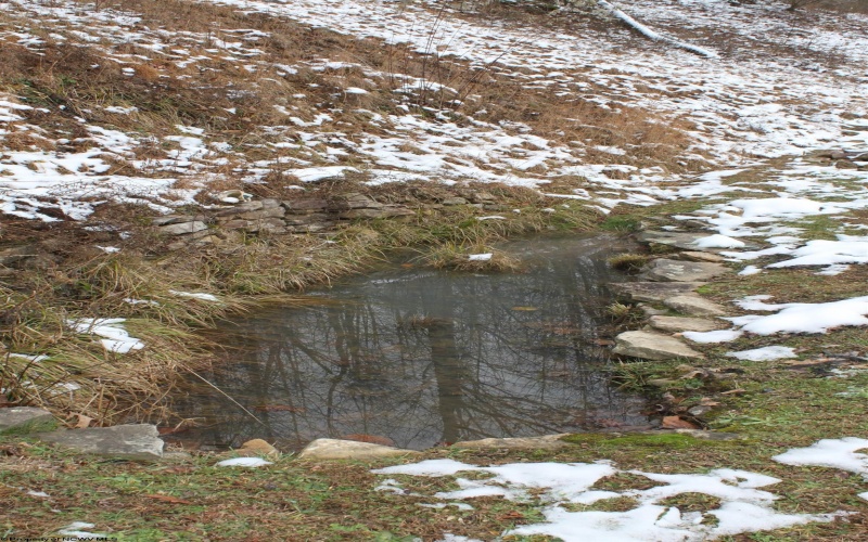 770 Elk River Road, Webster Springs, West Virginia 26288, 3 Bedrooms Bedrooms, 8 Rooms Rooms,1 BathroomBathrooms,Single Family Detached,For Sale,Elk River,10162976