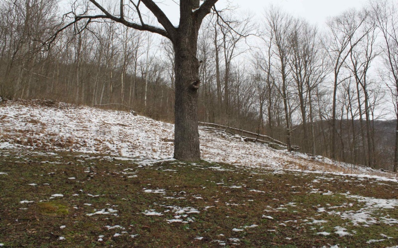 770 Elk River Road, Webster Springs, West Virginia 26288, 3 Bedrooms Bedrooms, 8 Rooms Rooms,1 BathroomBathrooms,Single Family Detached,For Sale,Elk River,10162976