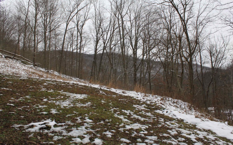 770 Elk River Road, Webster Springs, West Virginia 26288, 3 Bedrooms Bedrooms, 8 Rooms Rooms,1 BathroomBathrooms,Single Family Detached,For Sale,Elk River,10162976