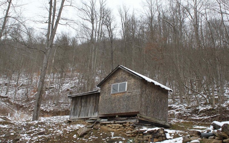 770 Elk River Road, Webster Springs, West Virginia 26288, 3 Bedrooms Bedrooms, 8 Rooms Rooms,1 BathroomBathrooms,Single Family Detached,For Sale,Elk River,10162976