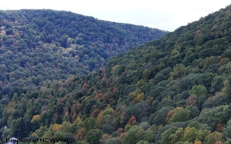 26 Pinewood Loop, Webster Springs, West Virginia 26288, ,Lots/land,For Sale,Pinewood,10153259 26 Pinewood Loop, Webster Springs, West Virginia 26288, ,Lots/land,For Sale,Pinewood,10153259