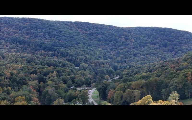 26 Pinewood Loop, Webster Springs, West Virginia 26288, ,Lots/land,For Sale,Pinewood,10153259 26 Pinewood Loop, Webster Springs, West Virginia 26288, ,Lots/land,For Sale,Pinewood,10153259