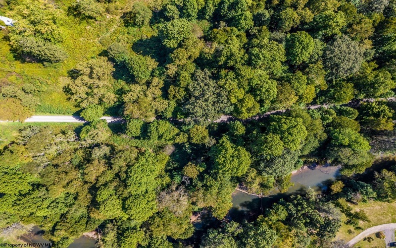 26 Pinewood Loop, Webster Springs, West Virginia 26288, ,Lots/land,For Sale,Pinewood,10153259 26 Pinewood Loop, Webster Springs, West Virginia 26288, ,Lots/land,For Sale,Pinewood,10153259