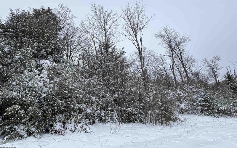 Lot 110 Canal Street, Davis, West Virginia 26260, ,Lots/land,For Sale,Canal,10162992