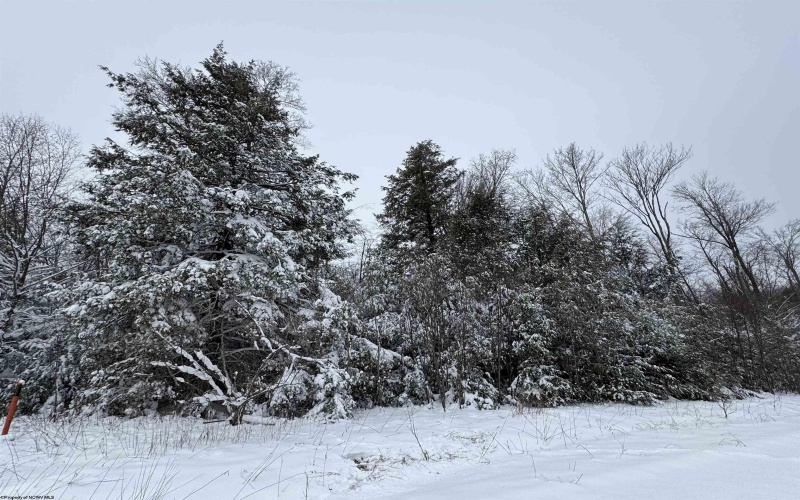 Lot 110 Canal Street, Davis, West Virginia 26260, ,Lots/land,For Sale,Canal,10162992