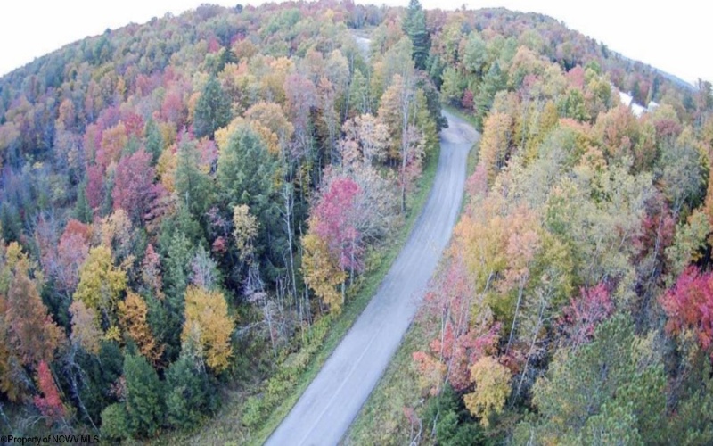 Lot 110 Canal Street, Davis, West Virginia 26260, ,Lots/land,For Sale,Canal,10162992