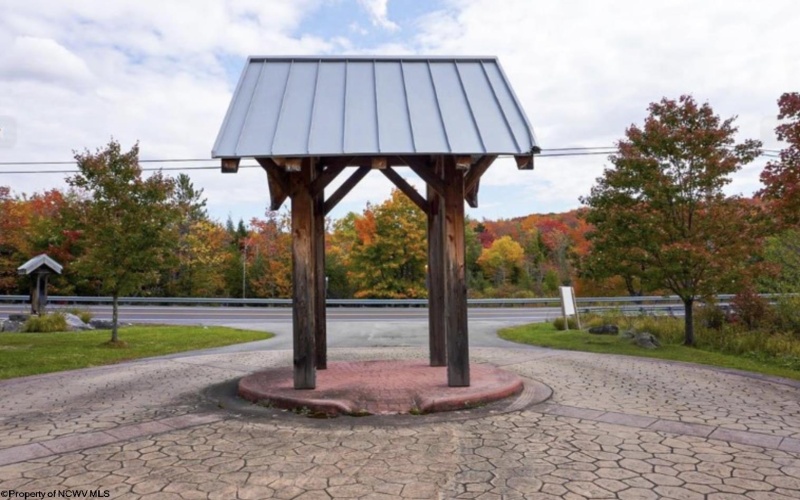 Lot 111 Canal Street, Davis, West Virginia 26260, ,Lots/land,For Sale,Canal,10162991