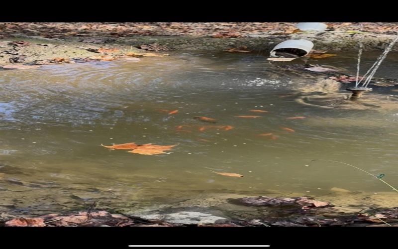 3368 Owl Creek Road, Morgantown, West Virginia 26508, 3 Bedrooms Bedrooms, 6 Rooms Rooms,2 BathroomsBathrooms,Single Family Detached,For Sale,Owl Creek,10162980 3368 Owl Creek Road, Morgantown, West Virginia 26508, 3 Bedrooms Bedrooms, 6 Rooms Rooms,2 BathroomsBathrooms,Single Family Detached,For Sale,Owl Creek,10162980