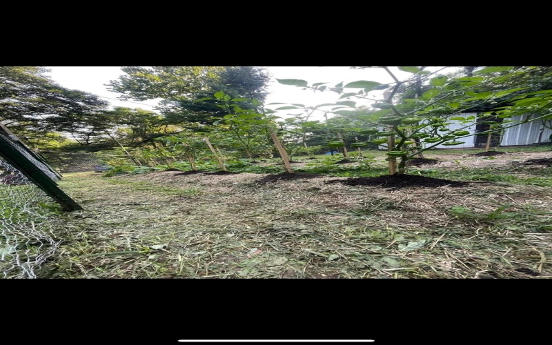 3368 Owl Creek Road, Morgantown, West Virginia 26508, 3 Bedrooms Bedrooms, 6 Rooms Rooms,2 BathroomsBathrooms,Single Family Detached,For Sale,Owl Creek,10162980 3368 Owl Creek Road, Morgantown, West Virginia 26508, 3 Bedrooms Bedrooms, 6 Rooms Rooms,2 BathroomsBathrooms,Single Family Detached,For Sale,Owl Creek,10162980