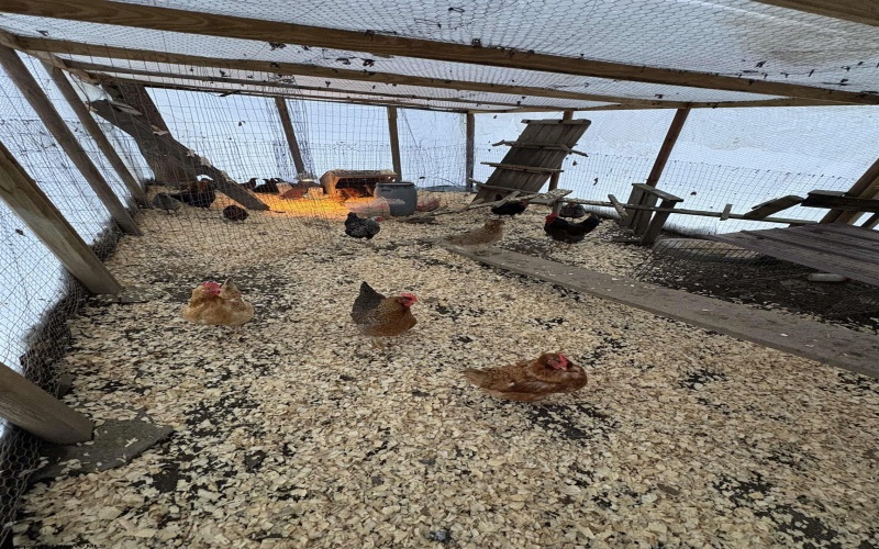 3368 Owl Creek Road, Morgantown, West Virginia 26508, 3 Bedrooms Bedrooms, 6 Rooms Rooms,2 BathroomsBathrooms,Single Family Detached,For Sale,Owl Creek,10162980 3368 Owl Creek Road, Morgantown, West Virginia 26508, 3 Bedrooms Bedrooms, 6 Rooms Rooms,2 BathroomsBathrooms,Single Family Detached,For Sale,Owl Creek,10162980