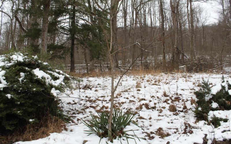 1349 Point Mountain Road, Webster Springs, West Virginia 26288, 3 Bedrooms Bedrooms, 9 Rooms Rooms,2 BathroomsBathrooms,Single Family Detached,For Sale,Point Mountain,10162995