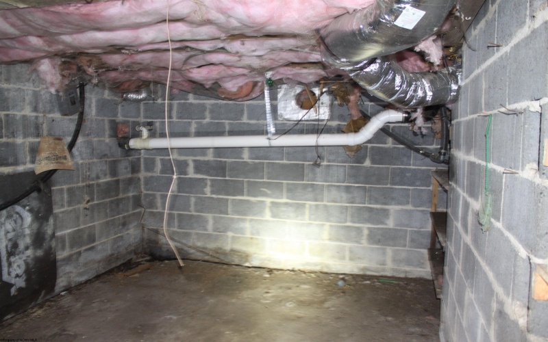 1349 Point Mountain Road, Webster Springs, West Virginia 26288, 3 Bedrooms Bedrooms, 9 Rooms Rooms,2 BathroomsBathrooms,Single Family Detached,For Sale,Point Mountain,10162995